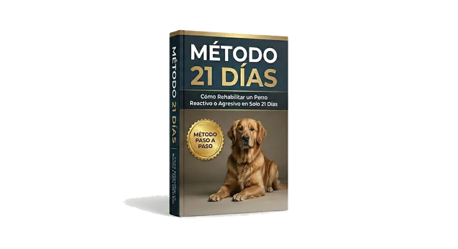 Método 21 Días — Guía completa de rehabilitación
